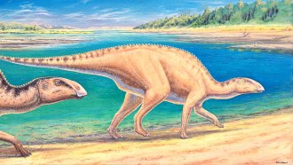 An illustration of a Gonkoken nanoi dinosaur walking on the shore of a lake