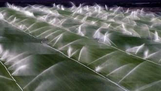 A photo of sprinklers watering crops.