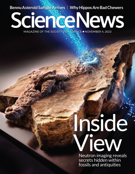 Cover of the November 4, 2023 issue of Science News
