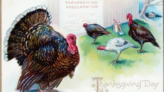 A vintage Thanksgiving Day postcard shows a big turkey in the foreground, with three others in the background near a sign that says "Thanksgiving Proclamation" and an ax leaning against a tree stump.